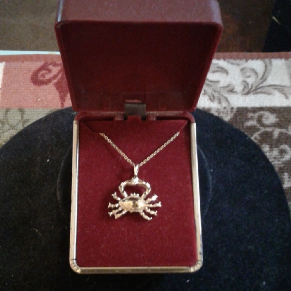 Ladies Horoscope (Cancer)18inch necklace(NWOT)